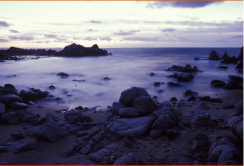 inArte: Land(e)scape